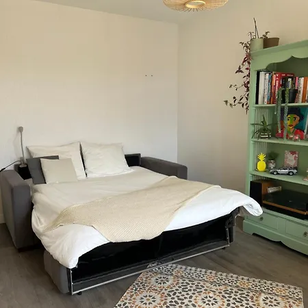 Spatieuse Quarto em Acomodações Particulares Brest